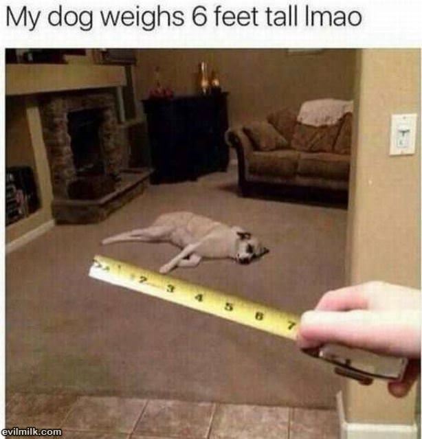 How High Are You