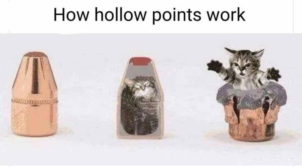 How Hollow Points Work