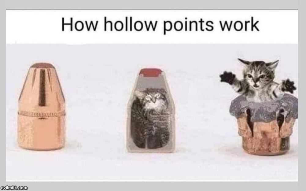 How Hollow Points Work