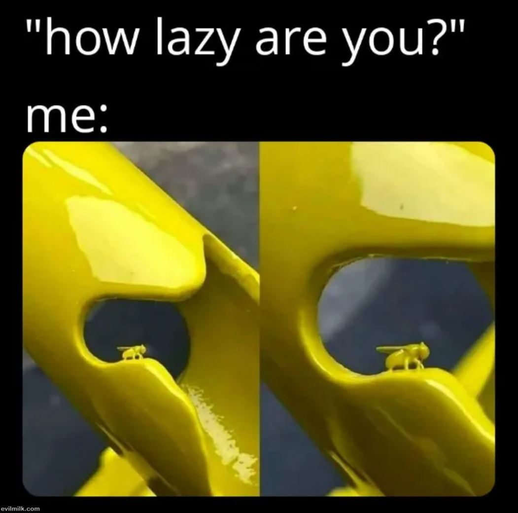 How Lazy Are You