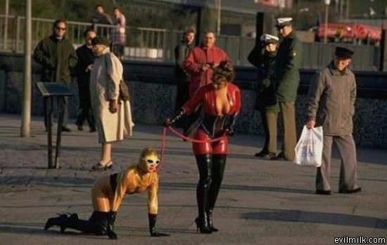 How Much Is That Doggie