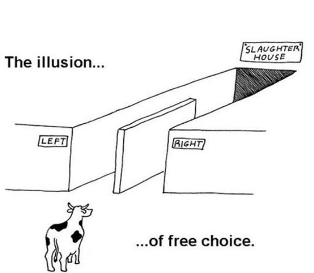How Politics Works Lately