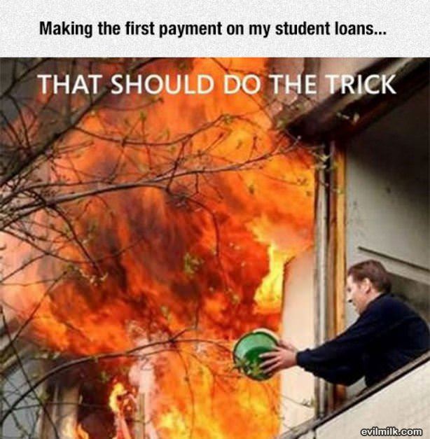 How Student Loans Work