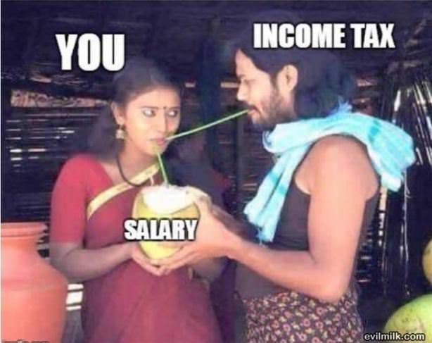 How Taxes Really Work
