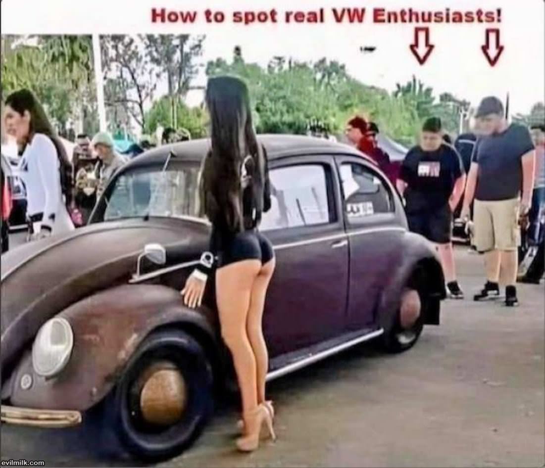 How_To_Spot_Them.jpg