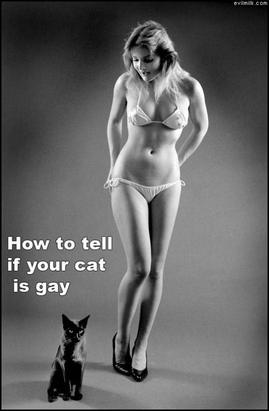 How To Tell
