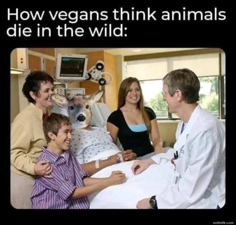 How Vegans Think