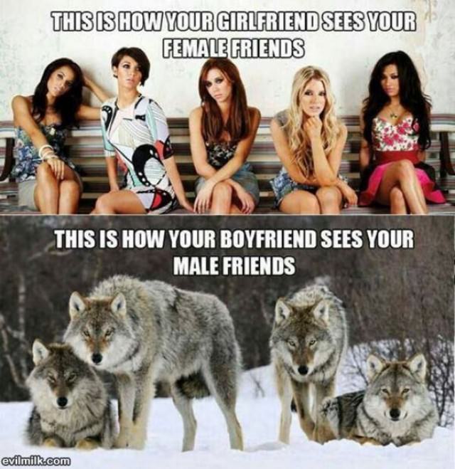 How Your Girlfriend Sees Your Friends