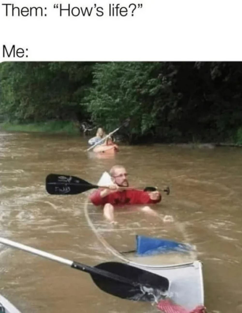 Hows Life