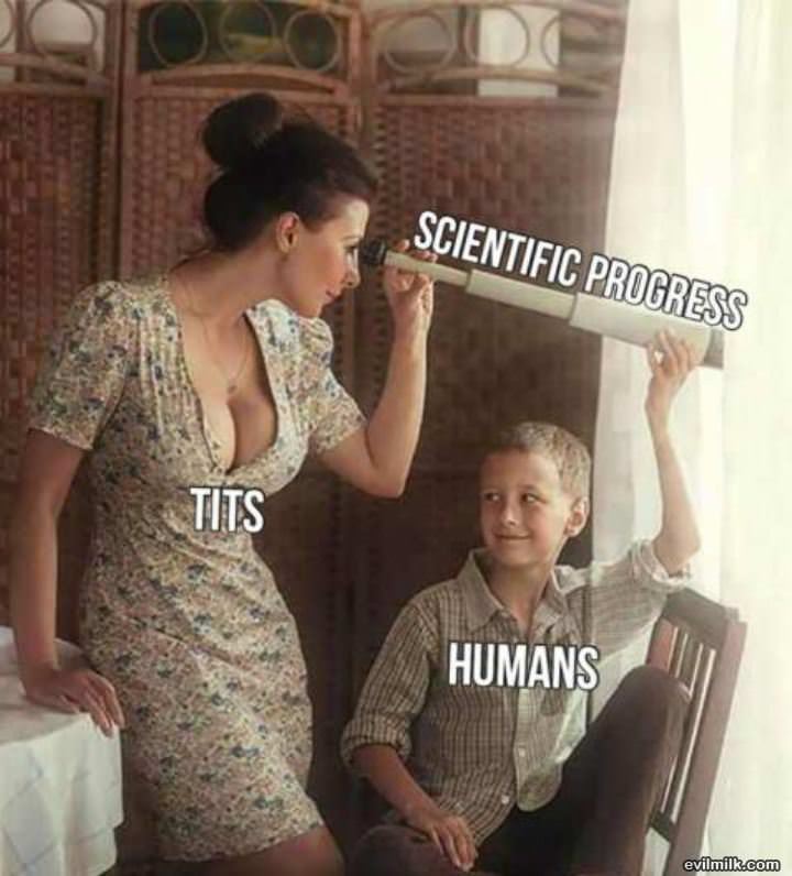 Humans