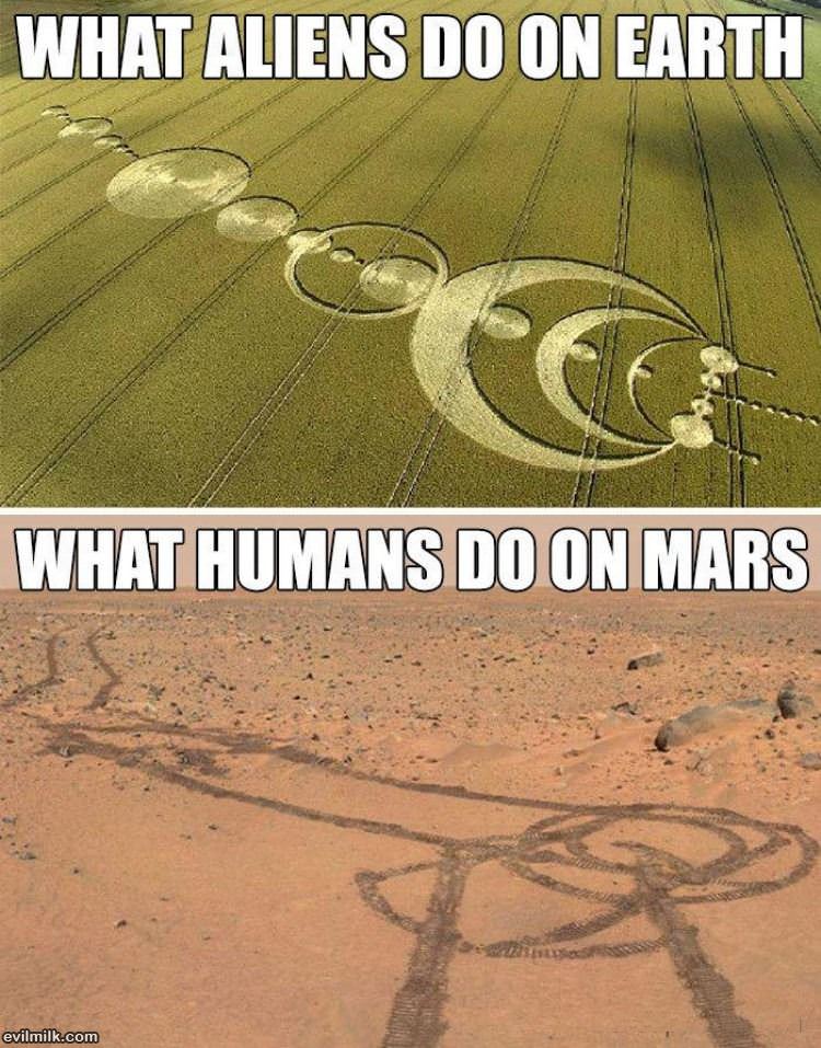 Humans