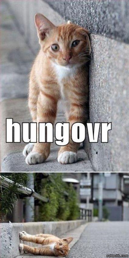 Hungovr