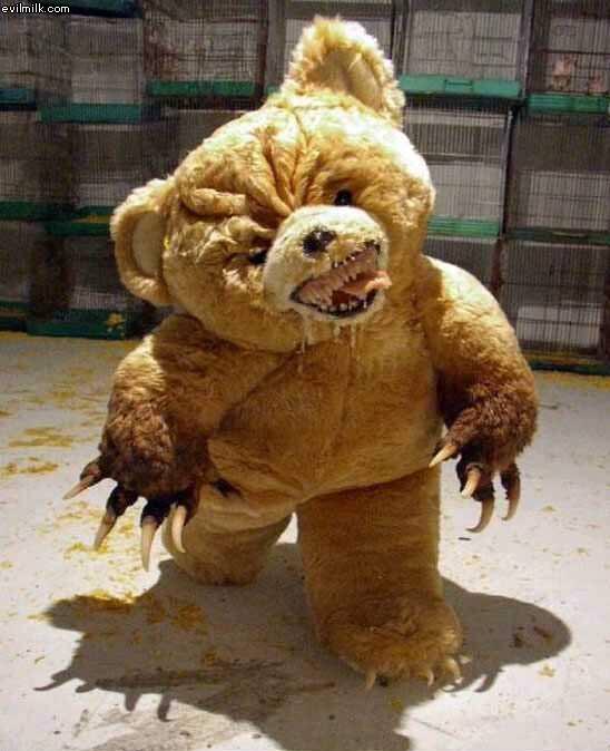 Hungry Bear