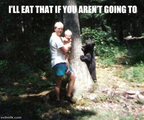 Hungry Bear