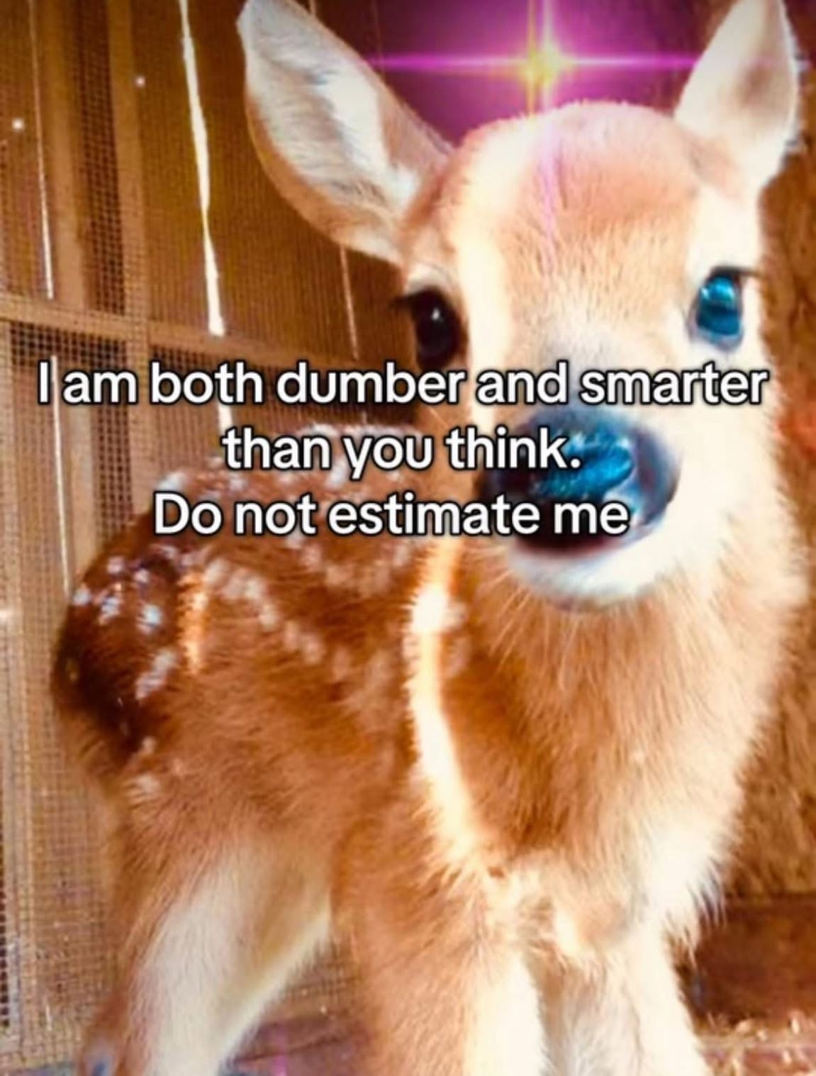 I Am