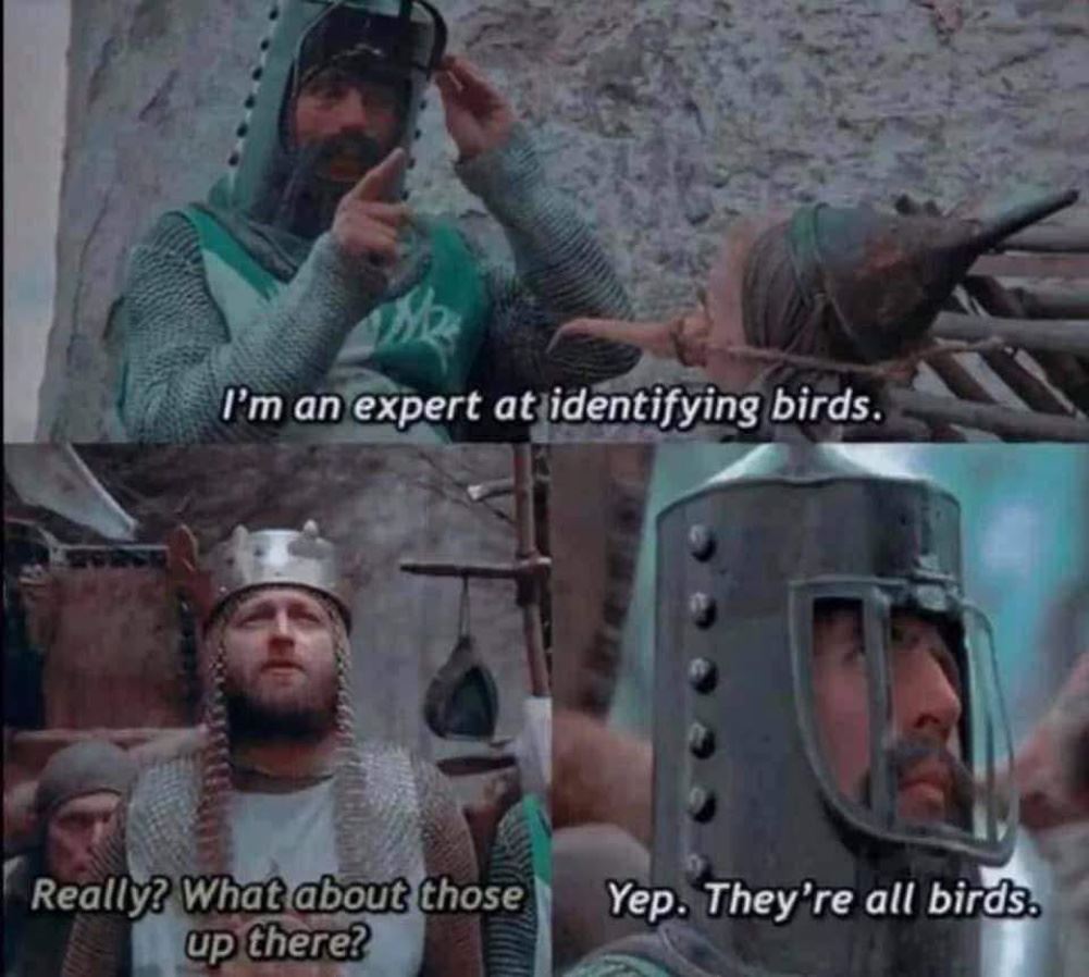 I Am An Expert