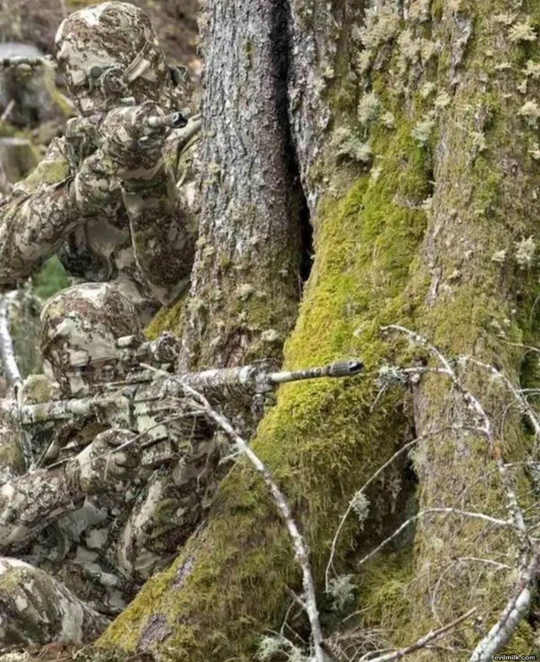 I Am One With The Tree