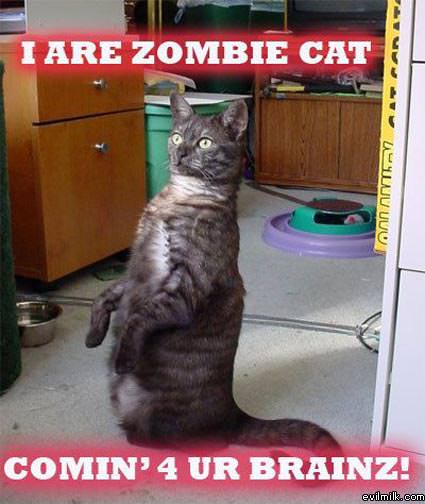 I Are Zombie Cat