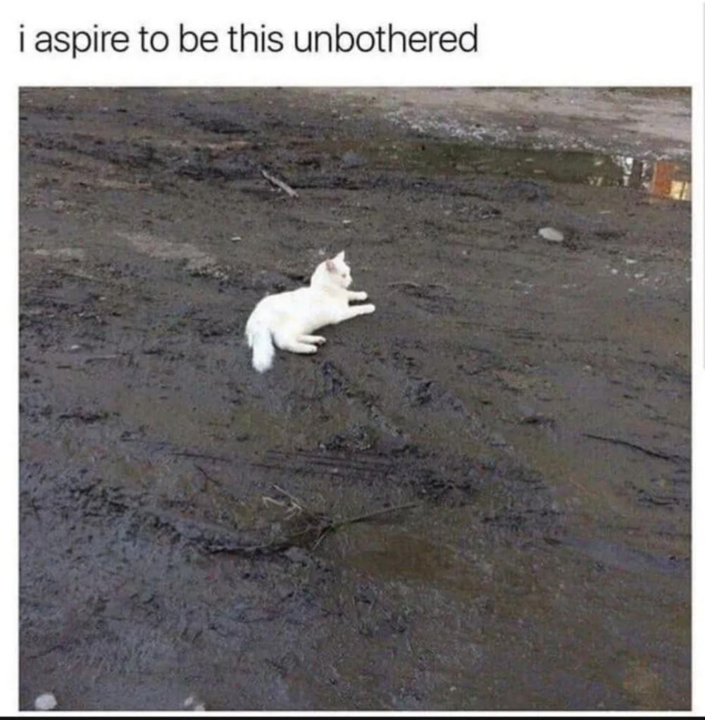 I Aspire
