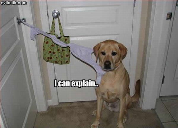 I Can Explain