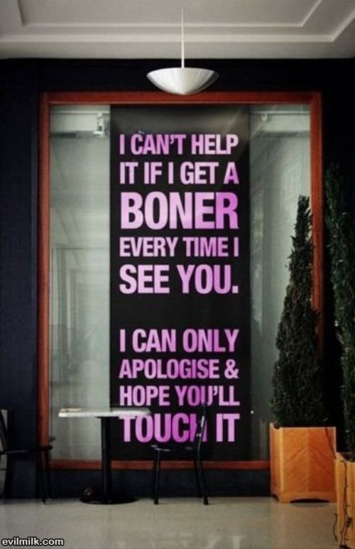 I Cant Help It
