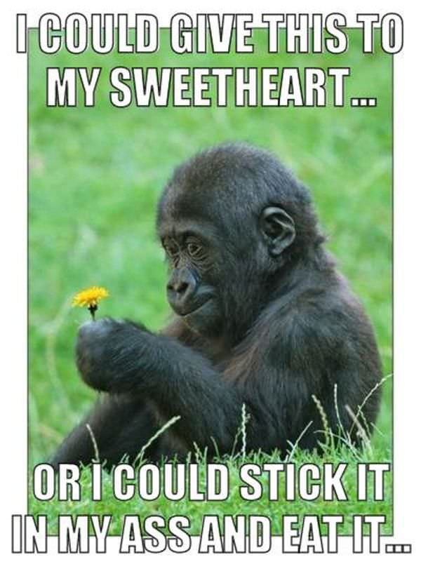 I Could Do That