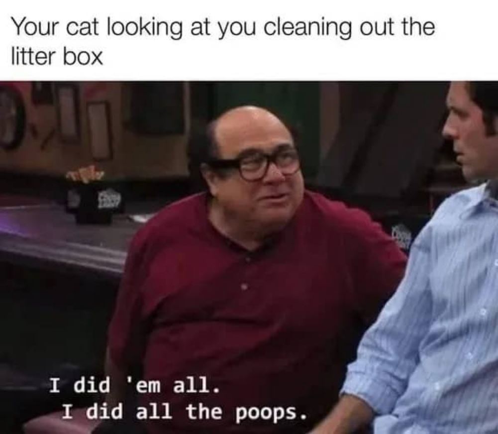 I Did Em All