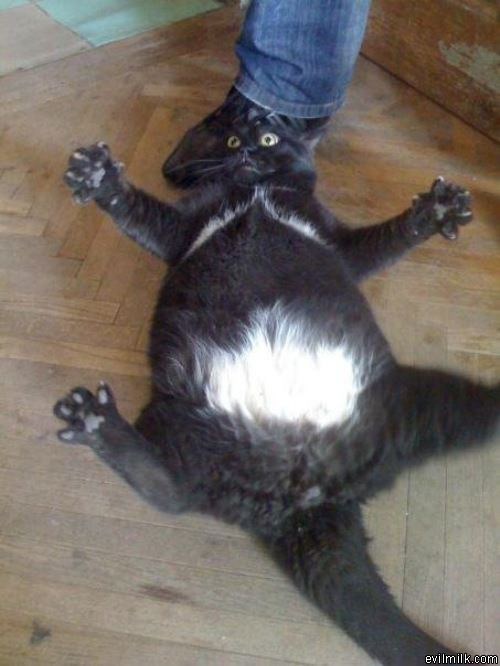 I Dont Like Being Touched