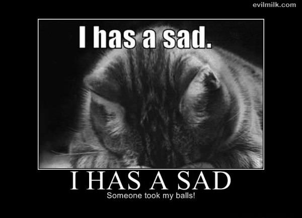 I Has A Sad