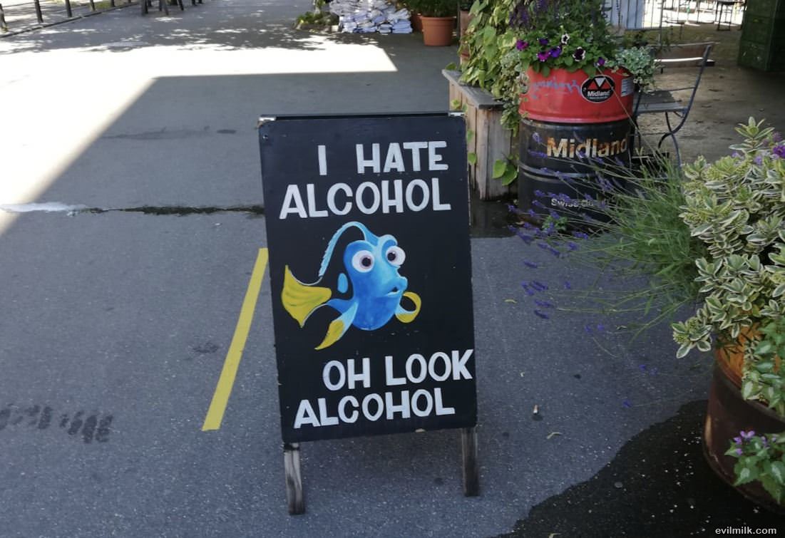 I Hate Alcohol