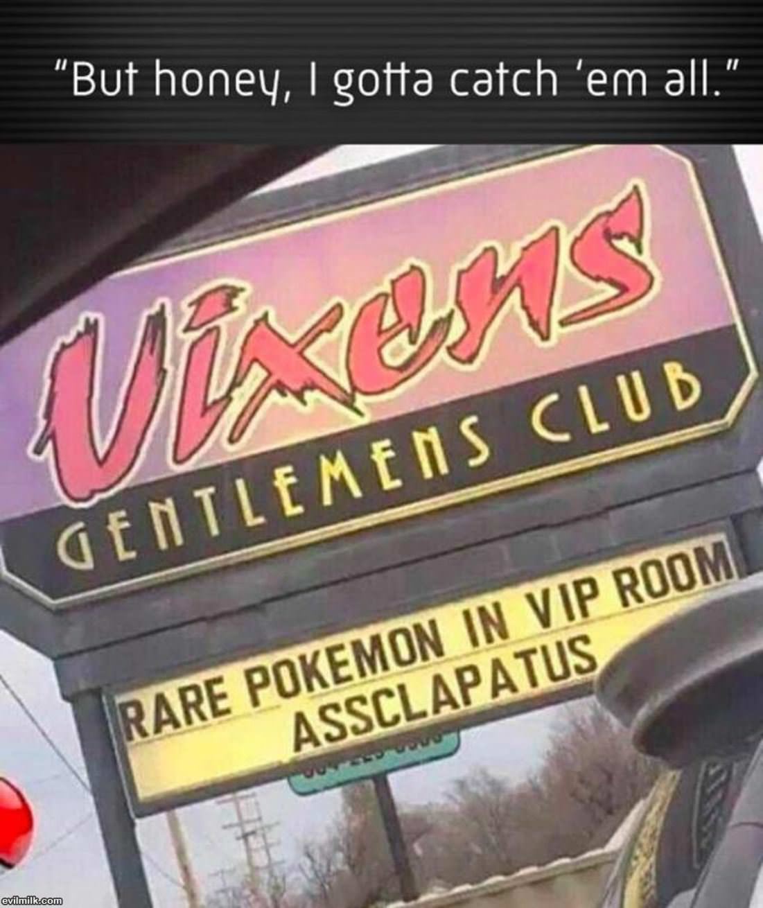 I Have To Catch Them All