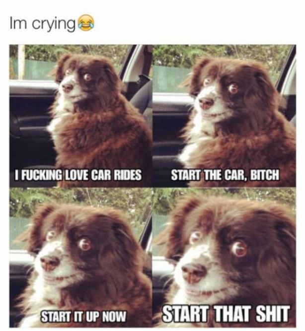 I Love Car Rides