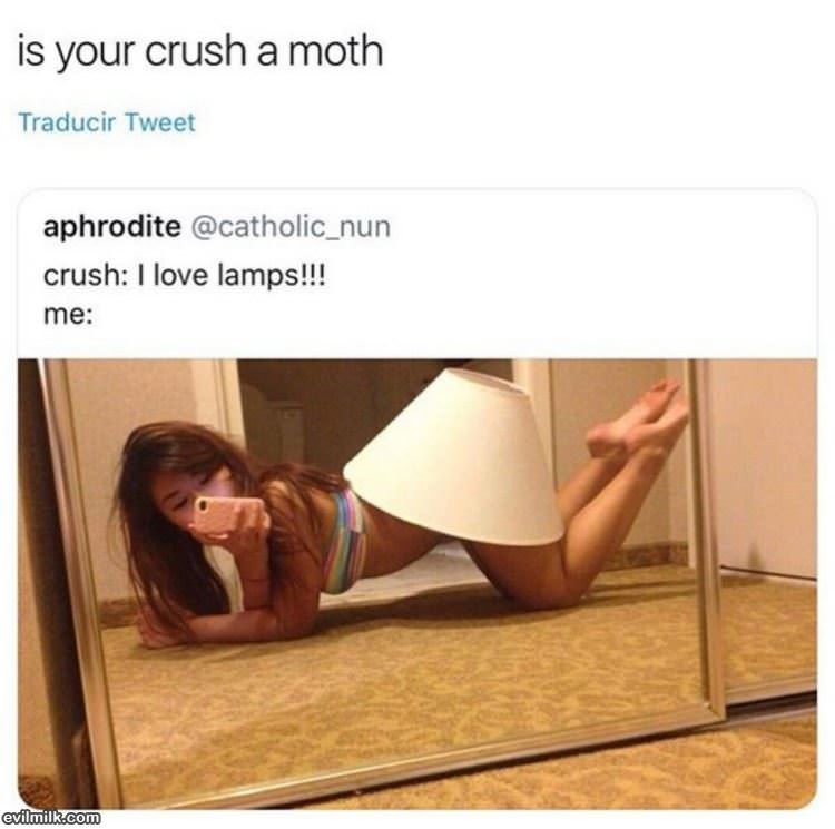 I Love Lamps
