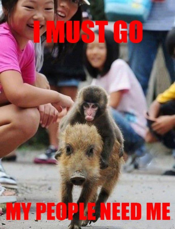 I Must Go