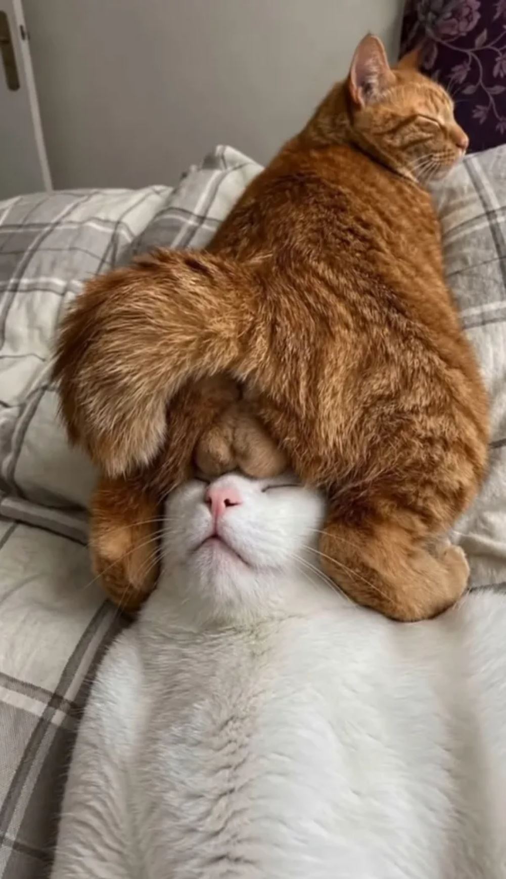 I Own You