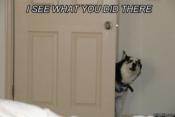 I Saw That