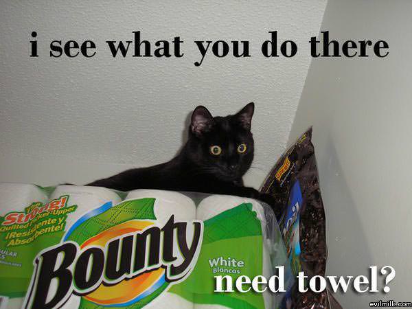 I See What You Did