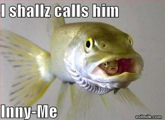 I Shall Call Him