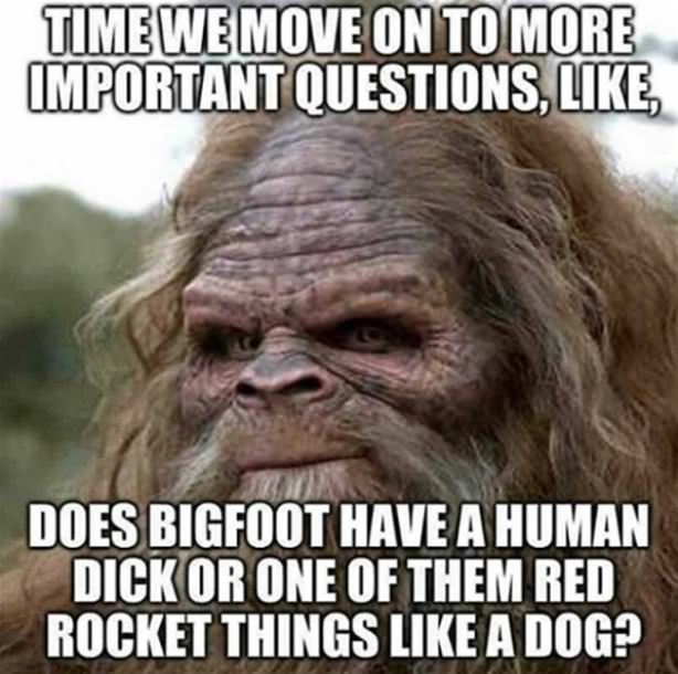 Important Questions