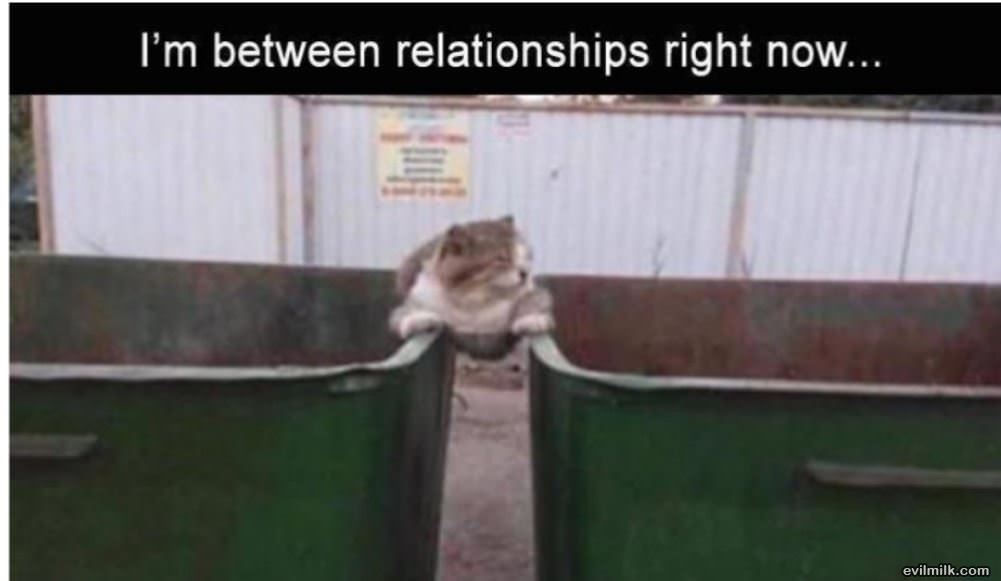 In Between Relationships