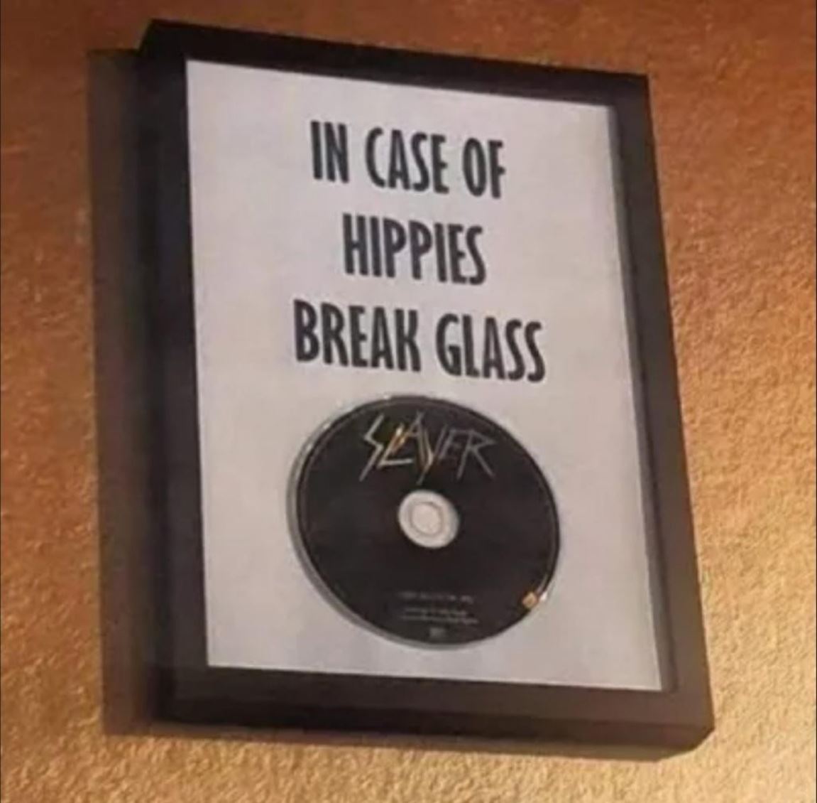 In Case Of Hippies