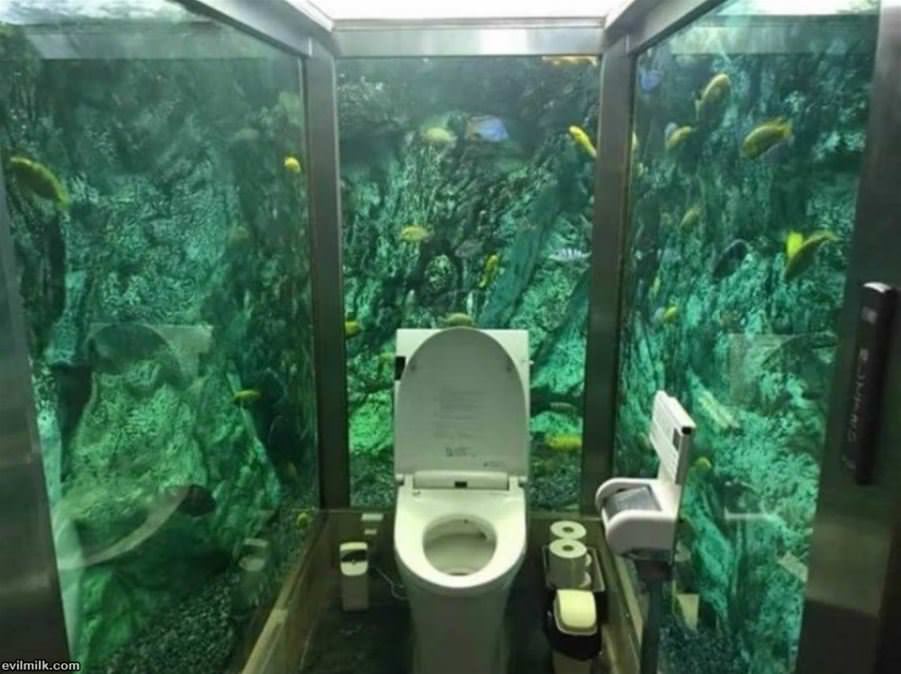 Interesting Place To Poop