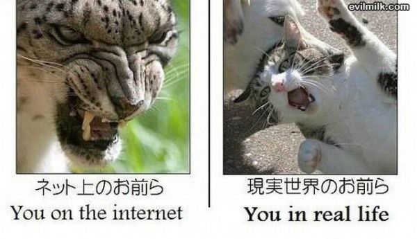 Internet Vs Real Life