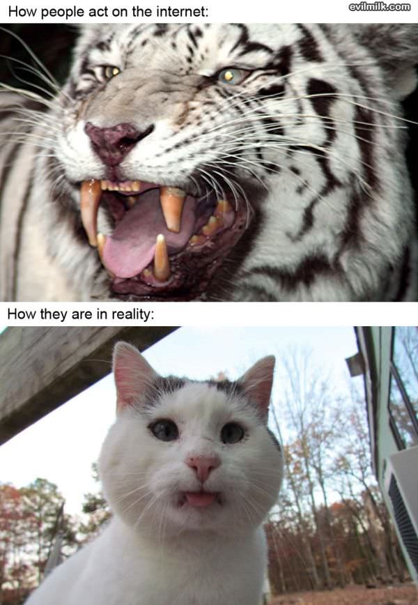 Internet Vs Reality People