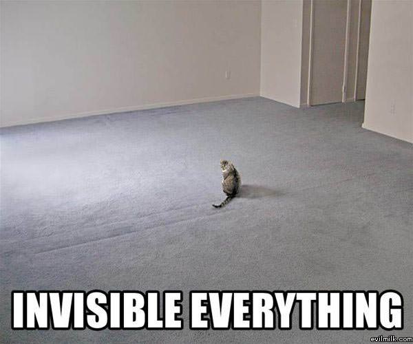 Invisible