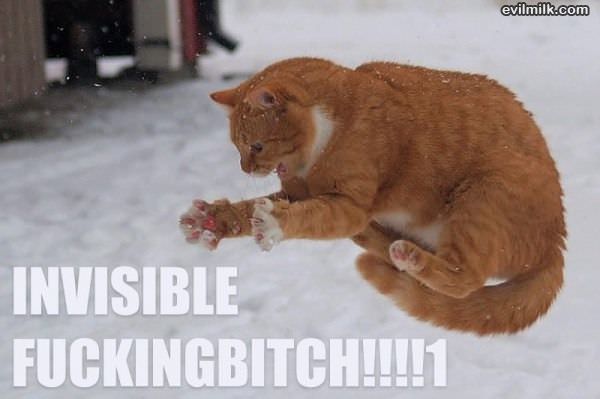 Invisible