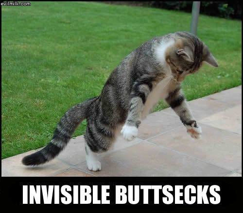 Invisible Buttsecks