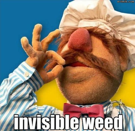 Invisible Weed