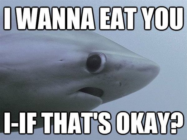 Is It Ok With You