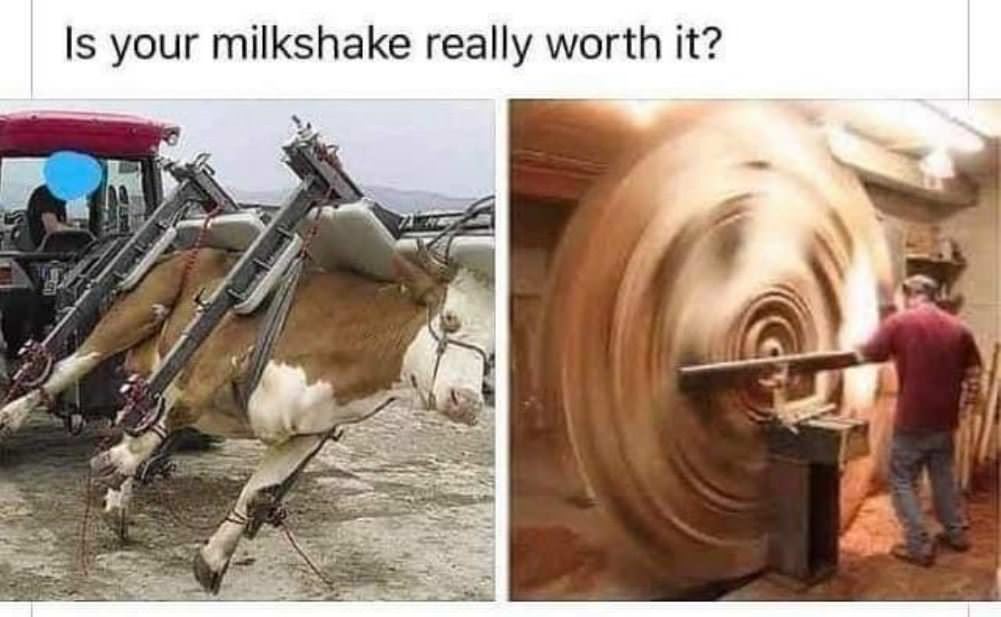 Is Your Milkshake Worth It
